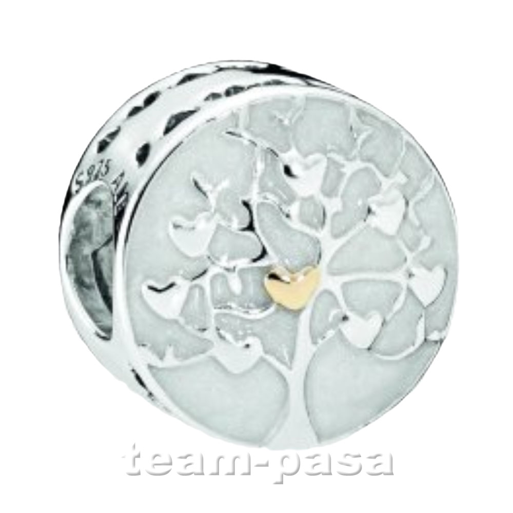 http://www.team-pasa.de/media/Pandora/791725NBS.jpg